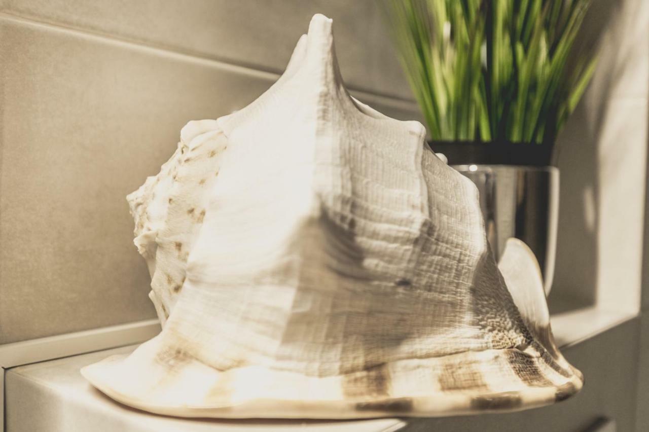 Apartment Alonisos Lux Braşov Eksteriør bilde